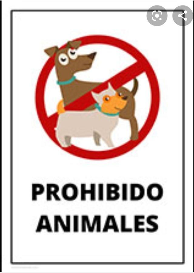 Pension Hidalgo 1 ウトレラ エクステリア 写真